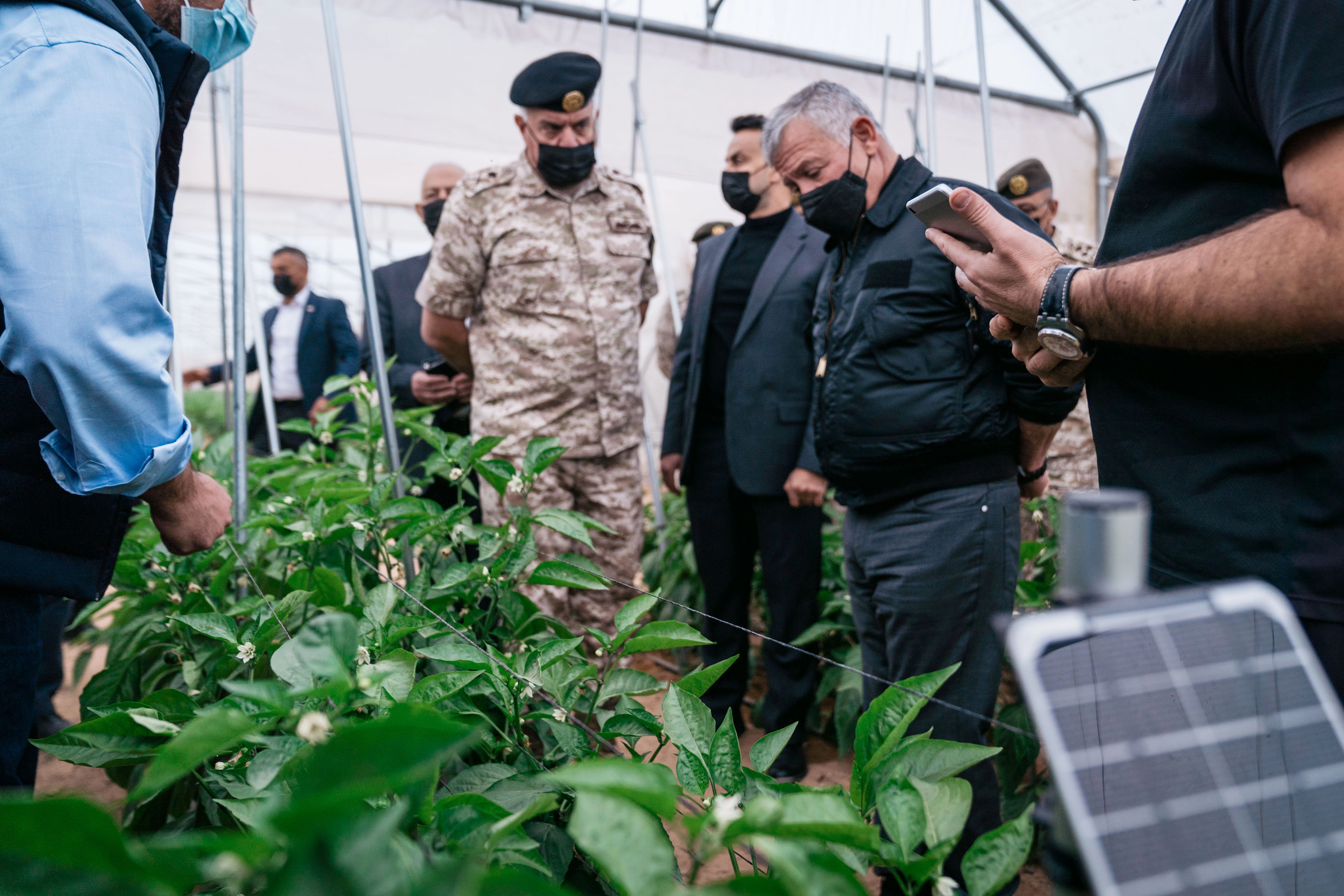 الملك يتفقد مشروعاً زراعياً كبيراً في الغمر تنفذه القوات المسلحة