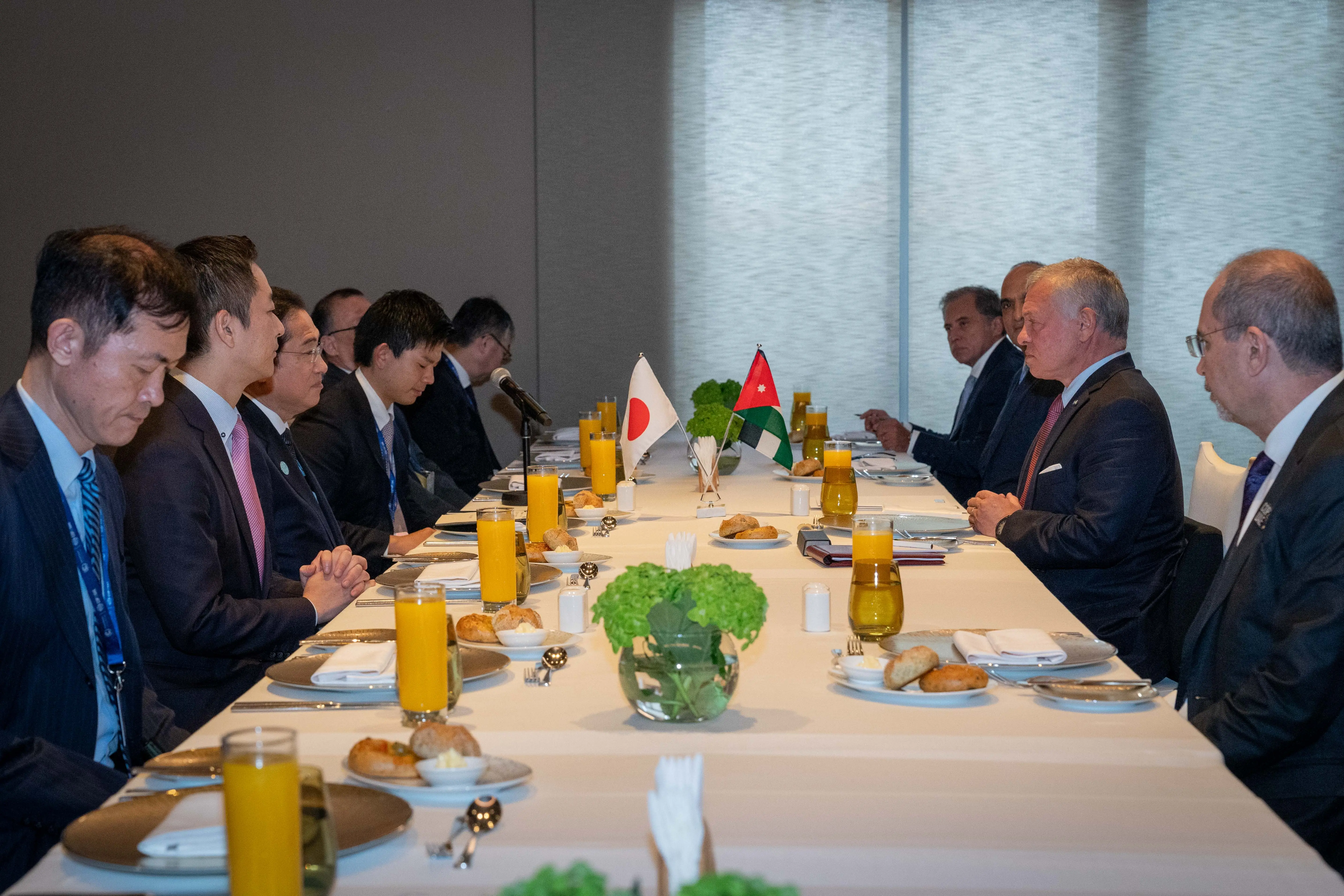 King, Japan PM discuss bilateral relations, situation in Gaza